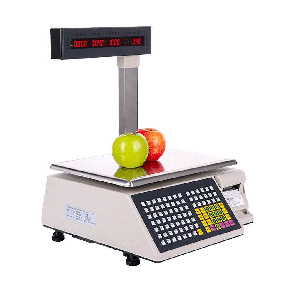 Scangle TS200 Electronic weight scale